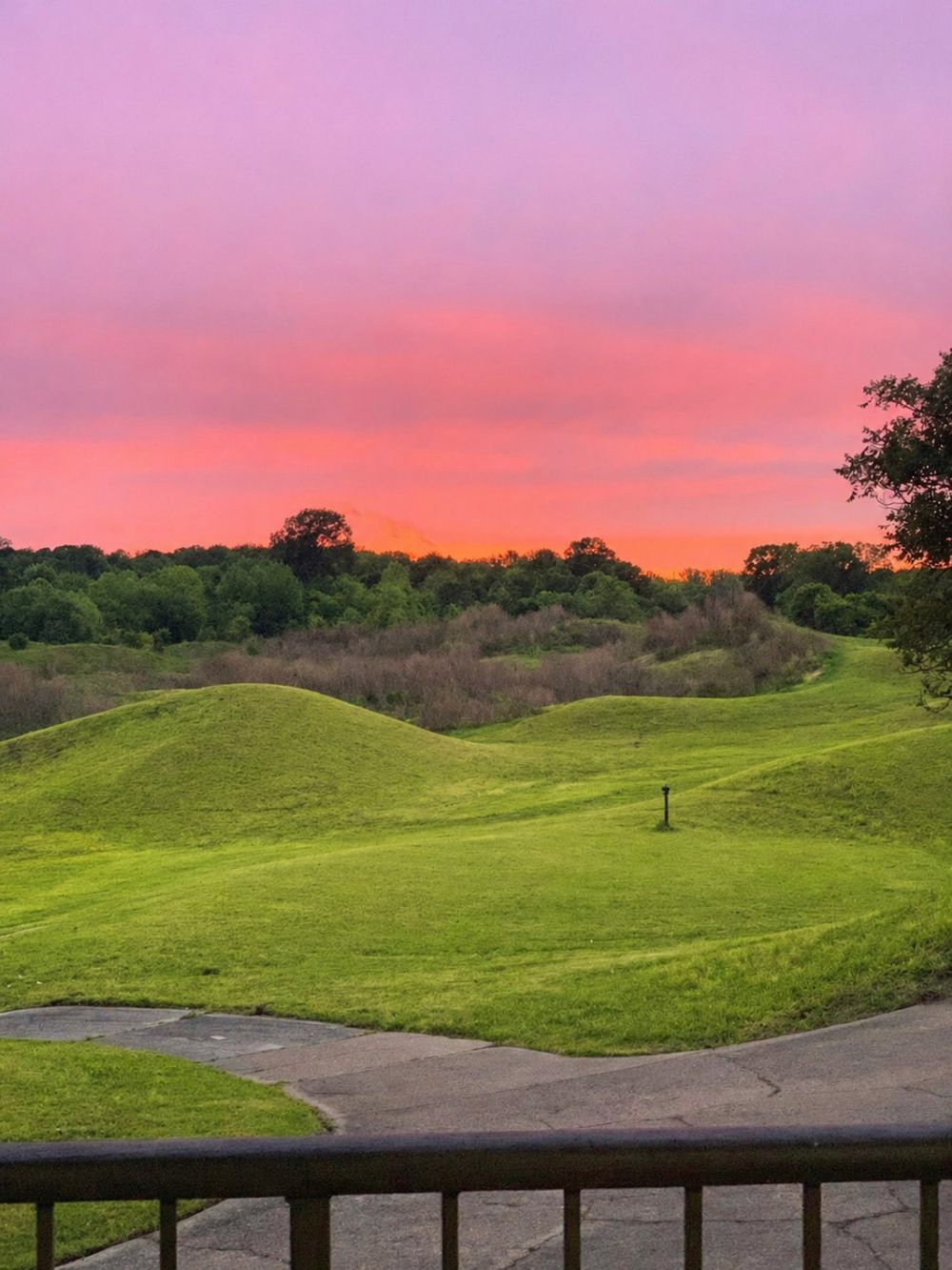 The Garden Spaces — the terrace at sunset